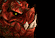 Dragon Turtle